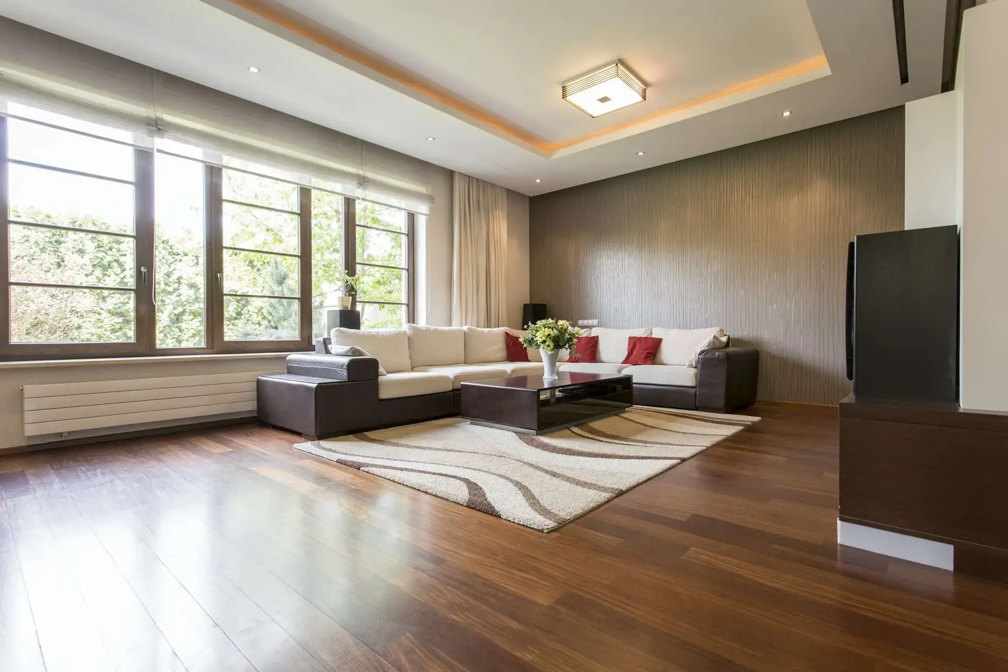 Modern living room